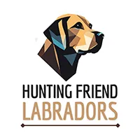Logo carré Hunting Friend Labradors